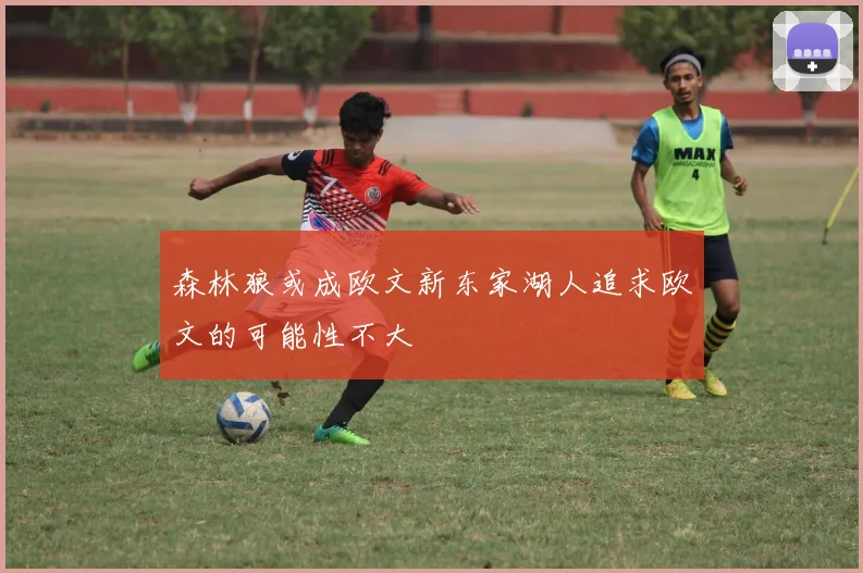 森林狼或成欧文新东家湖人追求欧文的可能性不大